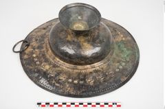 Foto von Bronzebreitrandfußschale (NHMW-PRAE-025274)